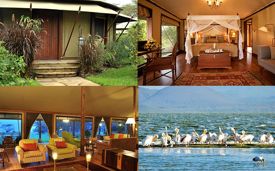 Lake Elmenteita Serena Camp